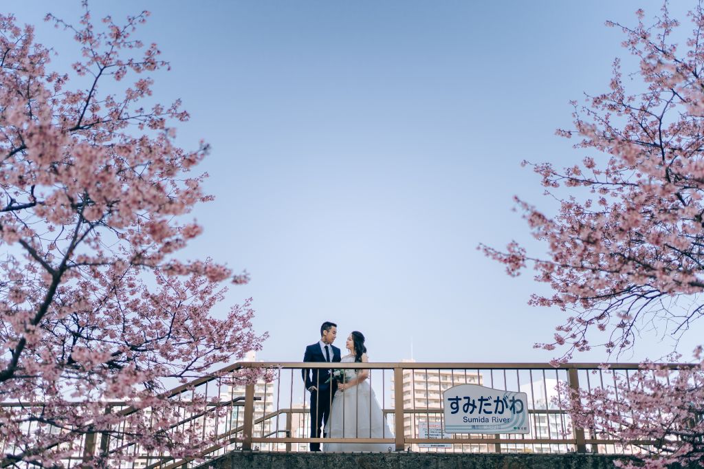tokyo wedding photoshoot cherry blossoms