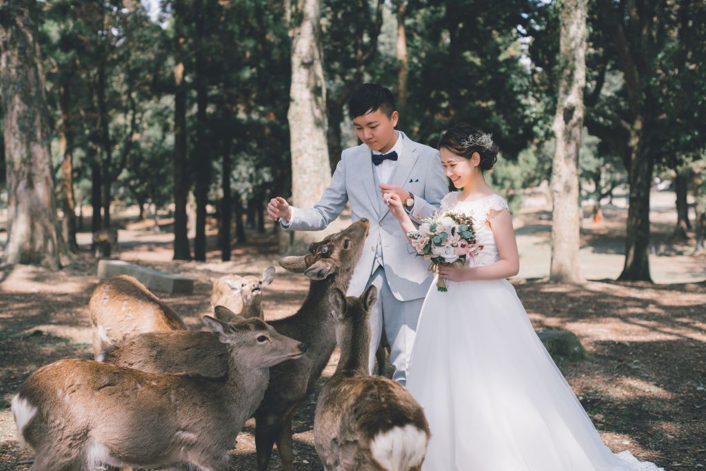 wedding phoyoshoot nara deer park