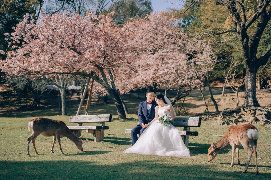nara deer park wedding photoshoot