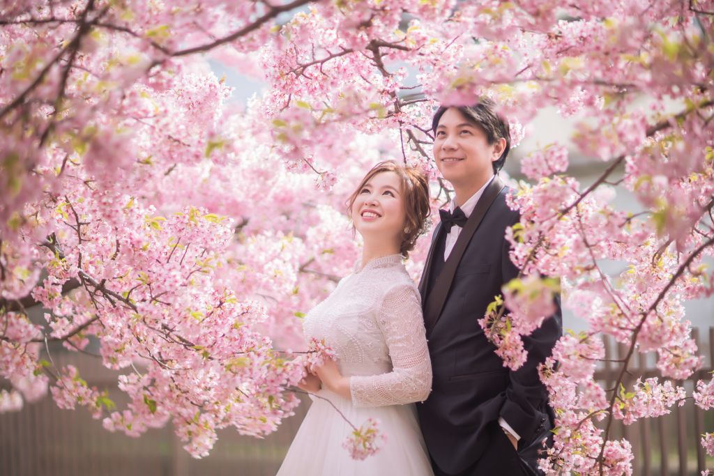 kyoto wedding photoshoot cherry blossoms