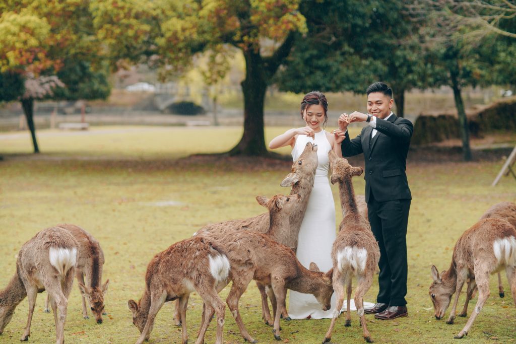 wedding photoshoot nara deer park