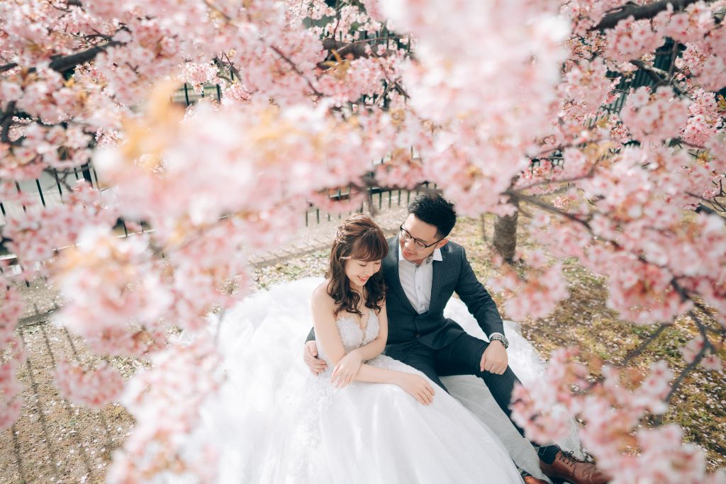 kyoto wedding photoshoot cherry blossoms