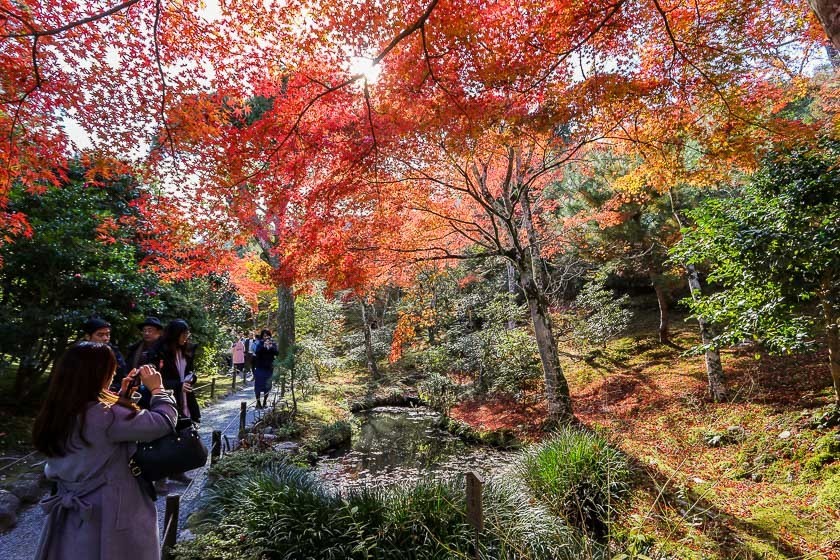 Crowd in Japan temple during autumn season