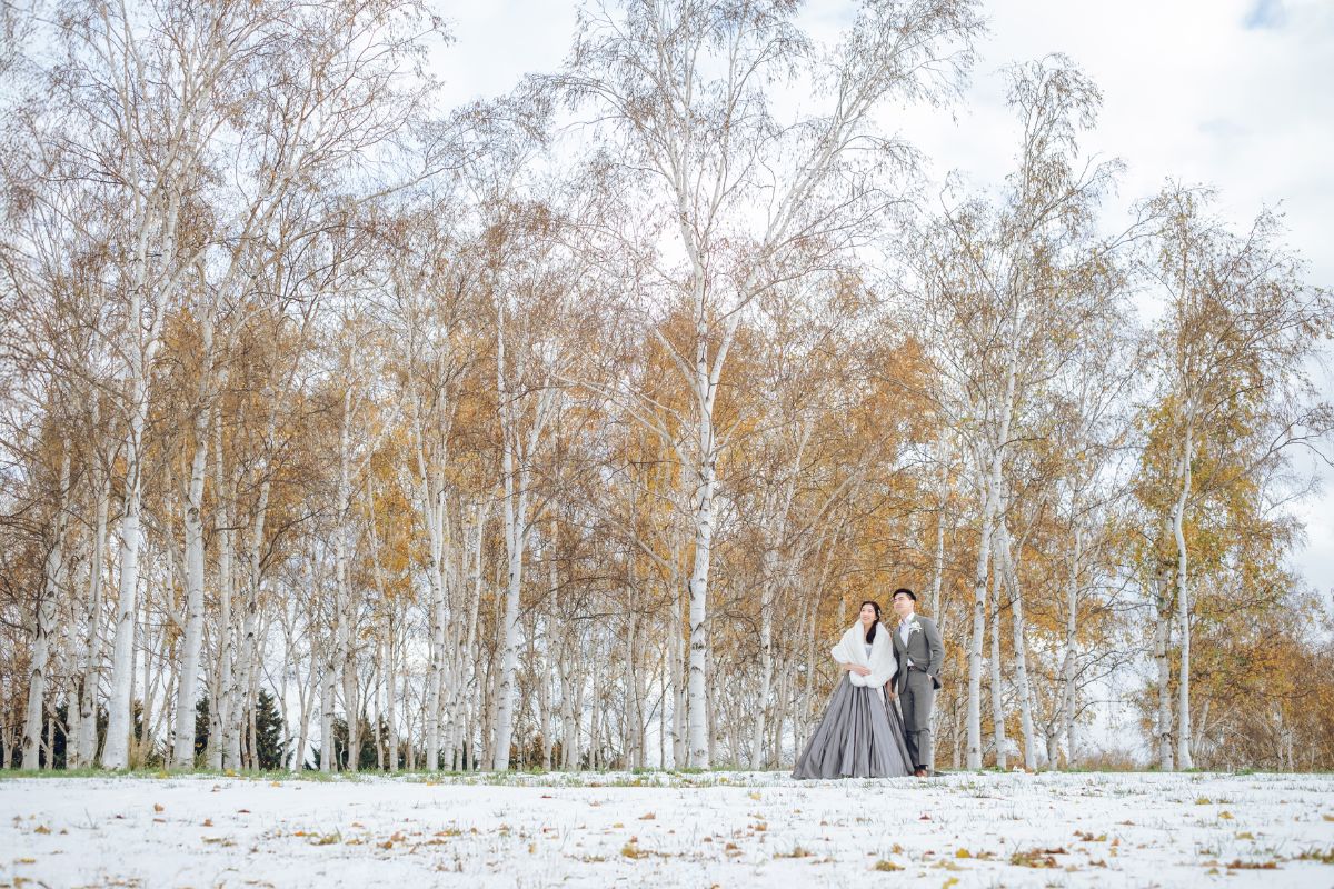 Romantic Autumn Pre-Wedding Photo at Maeda Forest Park, Hokkaido, Japan