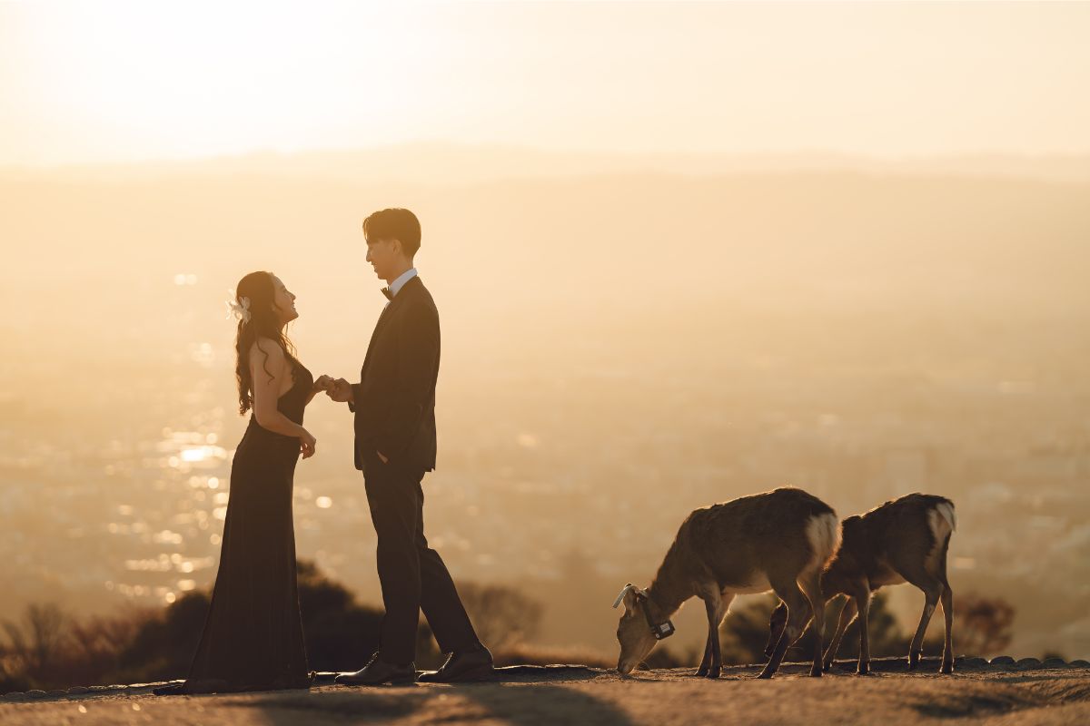 Autumn Pre-Wedding Photoshoot in Japan with Deers