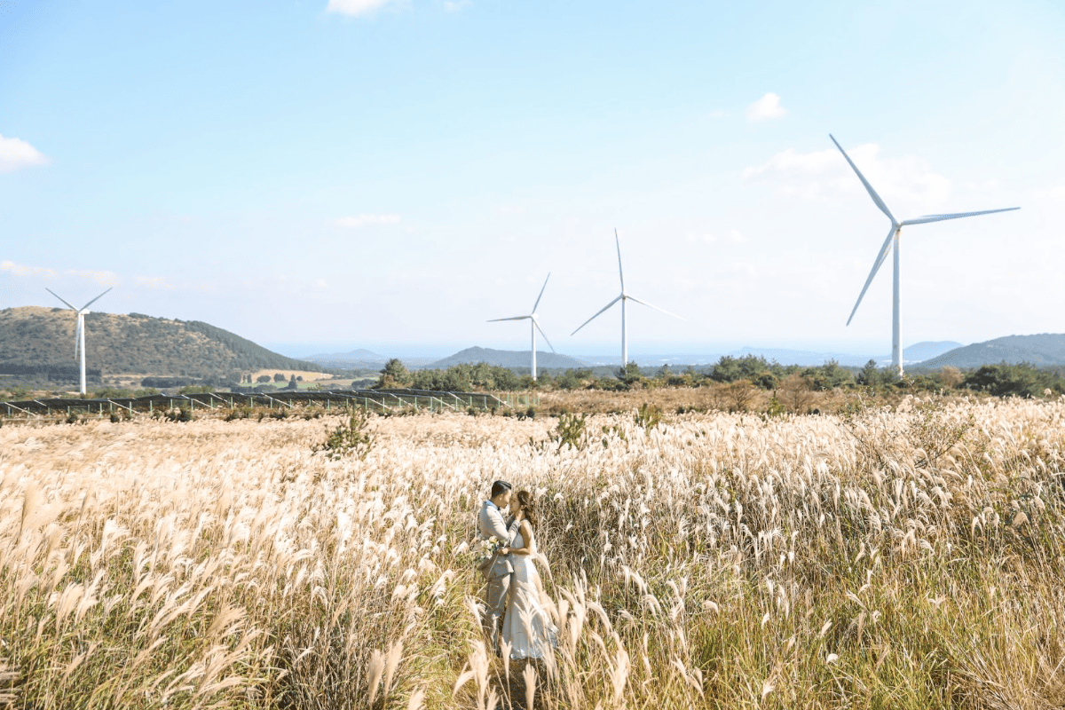 Fall Pre-Wedding Shoot at Gasiri Wind Power Plant