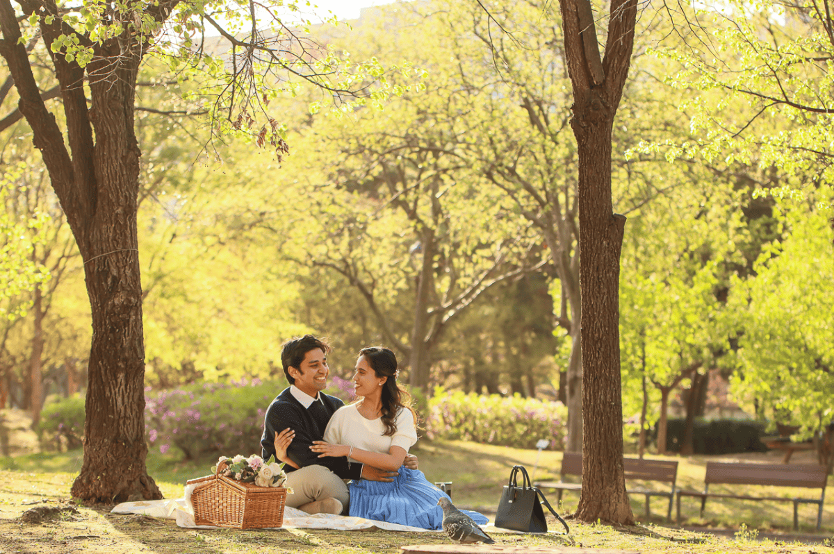 Pre-Wedding Picnic Under Fall Foliage in Korea