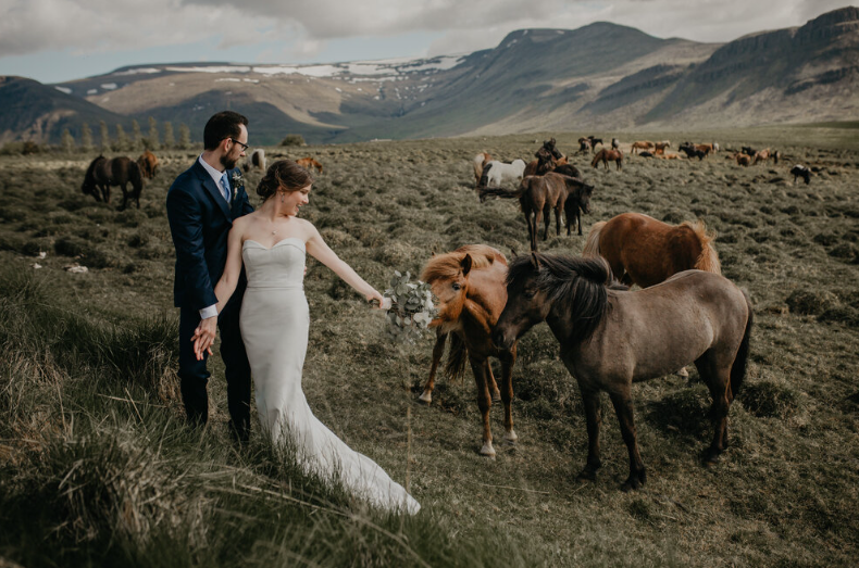 Romantic pre-wedding photoshoot with Icelandic horses in a scenic field in Iceland
