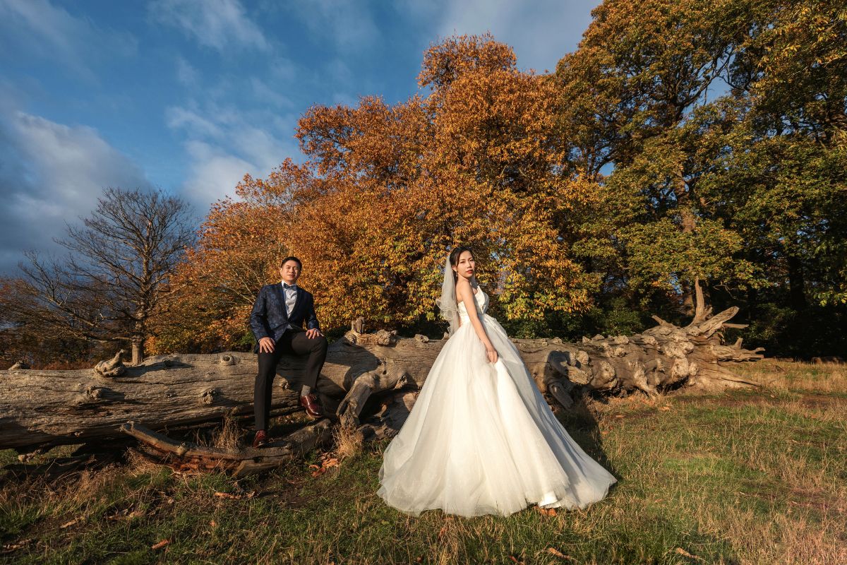 Couple having a pre-wedding photshoot at Richmond Park in London, United Kingdom during autumn
